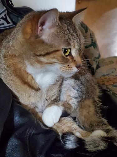 15:21:48 GMT-0400 (EDT)