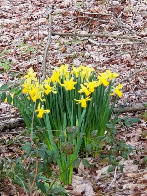 01:28:42 GMT-0500 (CDT)