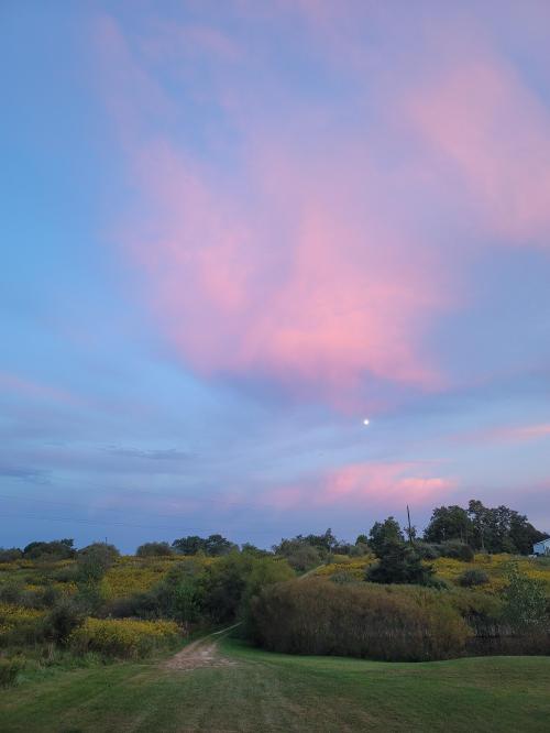 15:26:45 GMT-0400 (EDT)