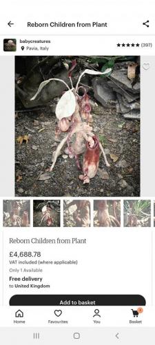 109689749_2843467419255545_677325931246745756_o