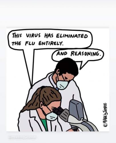 COVID_Eliminates_Flu_And_Reasoning