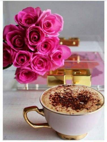 13043263_10201500621553362_6164022275875266142_n_10201500621553362