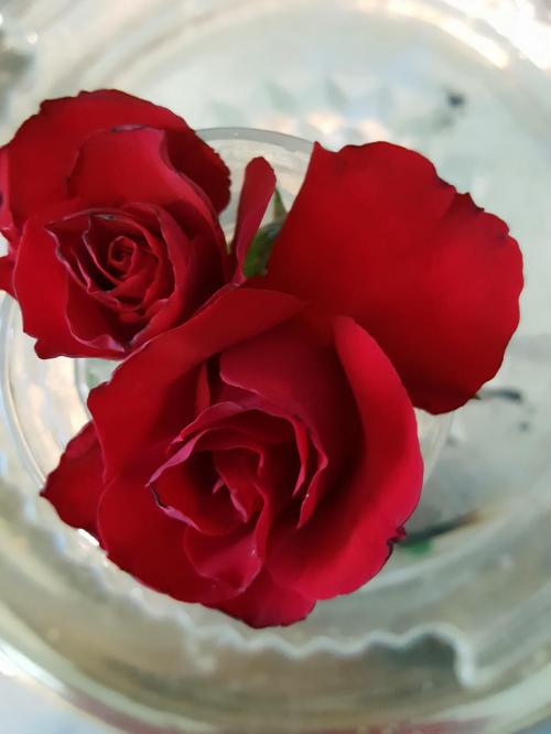 12:52:46 GMT+0100 (WAT)