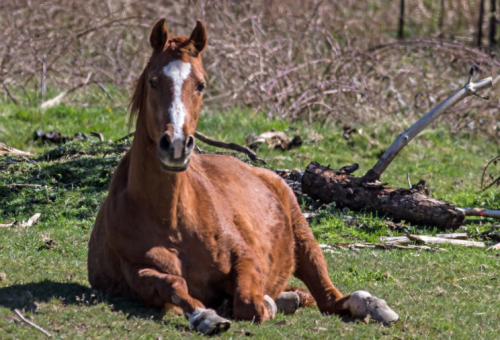 Screenshot 2020-10-14 015009