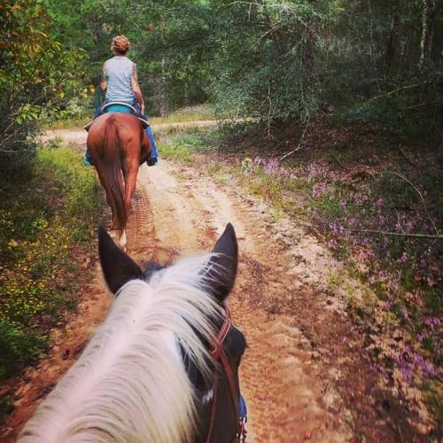 21:49:50 GMT-0500 (CDT)