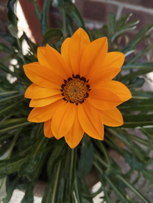 6e054899-b38f-476a-a1ce-97645853d9ab