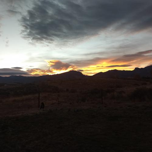 16:58:47 GMT-0700 (PDT)