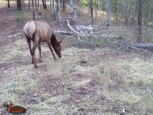 41507270_10217220279117633_2373908998085672960_o_10217220279037631