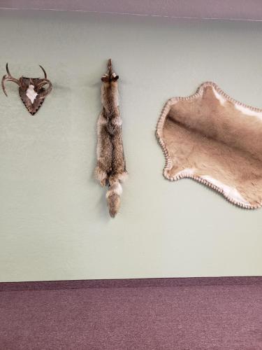 16:29:22 GMT-0600 (MDT)