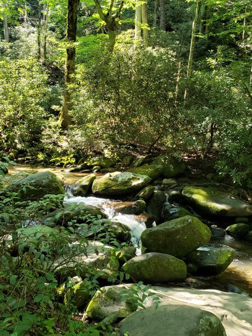 inbound7087818600343197931