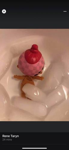 117538383_10220725876029224_4258352300954699920_o