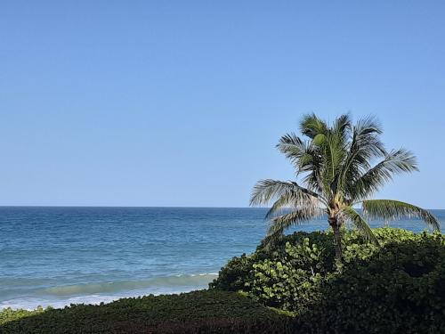 21:24:23 GMT-0400 (EDT)