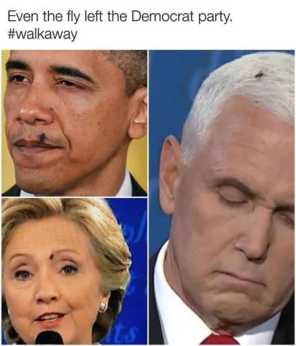 FB_IMG_1602314207034