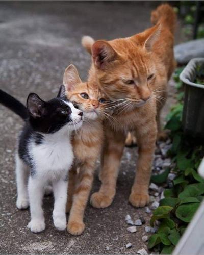 15:00:38 GMT-0500 (CDT)