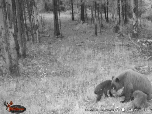 67288935_10219691357973060_6628725196045942784_o_10219691357893058