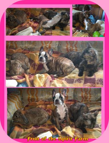 14:05:20 GMT-0500 (CDT)