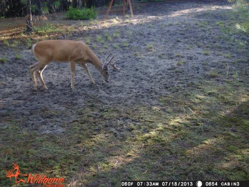 1012058_10201668883302457_1898303504_n_10201668883302457