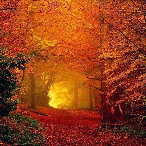 21:17:00 GMT-0700 (PDT)