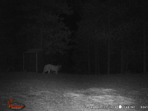 47213068_10217827186169930_8359866538416668672_o_10217827186129929