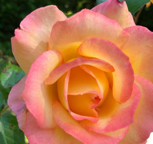 00:39:54 GMT+0100 (WAT).png