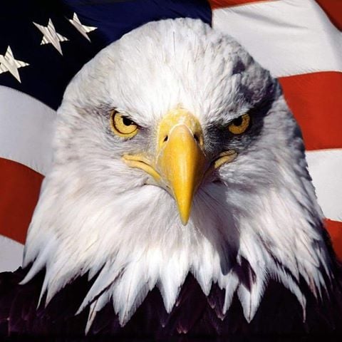 118212459_3345387908886785_7619638090888673131_n