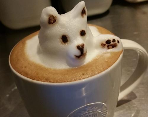 Coffee Latte Kitty