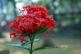 06:43:52 GMT+0100 (WAT)