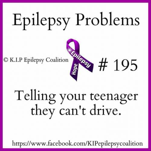 32598570_10204471058052418_4005847621099847680_n_10204471058012417