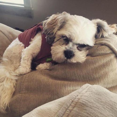 648481D4-3336-4B87-BD14-DE97AEA67B8F