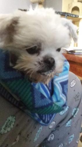 received_216753252683109