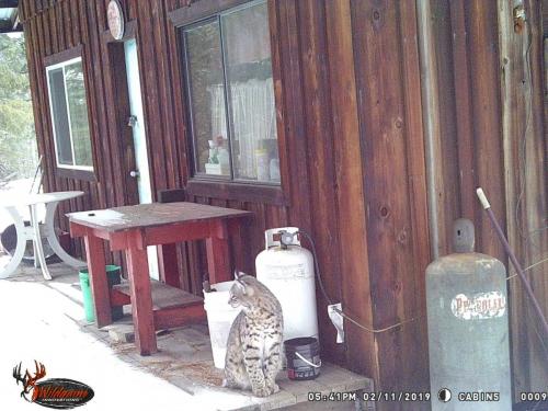 57591589_10218905925577741_5880688665000148992_o_10218905925537740