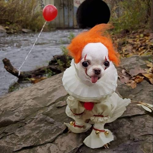 21:46:06 GMT-0400 (EDT)