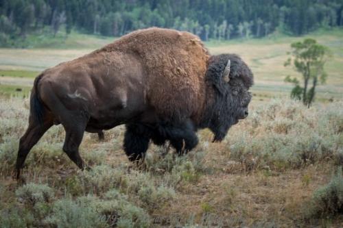 tumblr_7790da32f4cae54cb268d041eaa435ef_3eb8f054_540