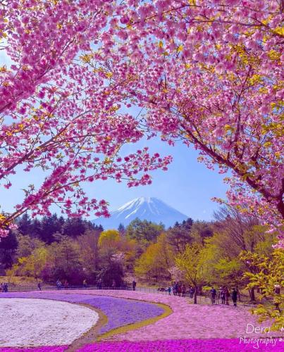 120015778_2755335591404325_567131138389593872_o