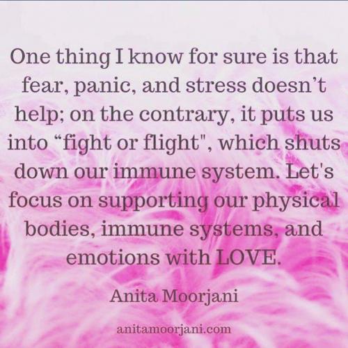 106102460_10157761559680674_7957447947698656121_n