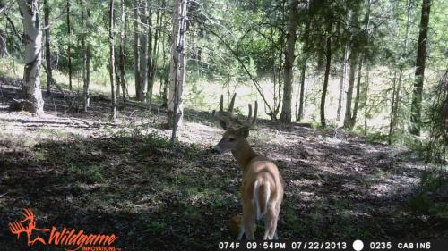 1170663_10201794160714314_334923609_n_10201794160714314