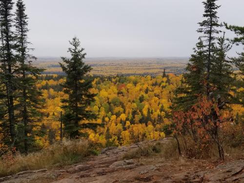 15:23:42 GMT-0500 (CDT)