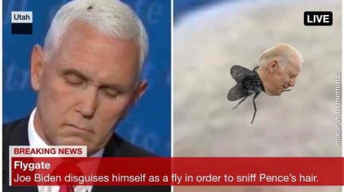 biden the fly