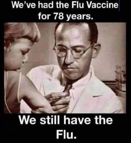 The Flu