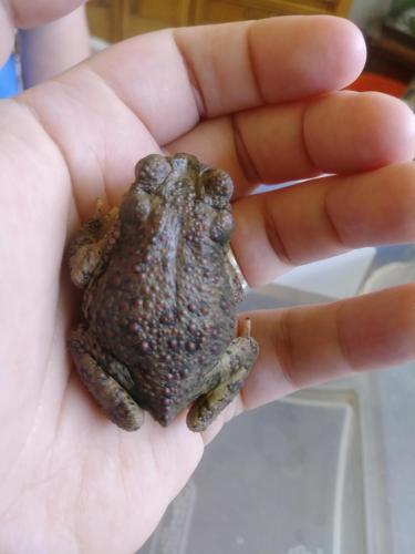 23:41:24 GMT-0700 (MST)