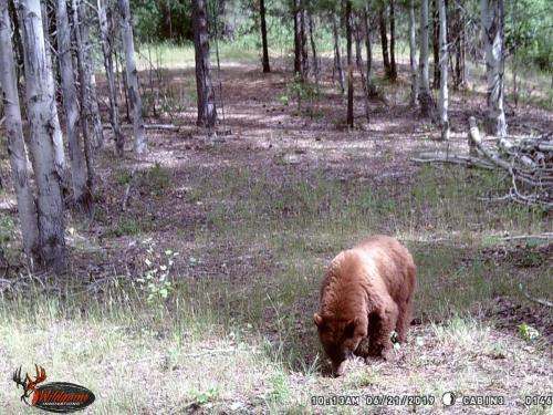 67421630_10219678057320552_5547696693740306432_o_10219678057280551