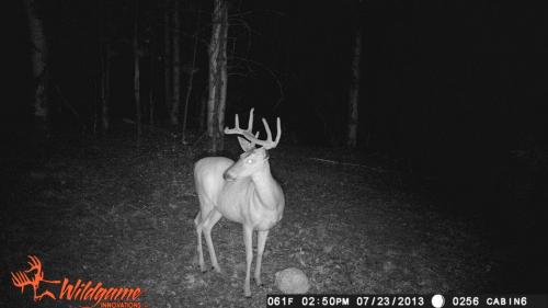 1209122_10201794161314329_763099163_n_10201794161314329