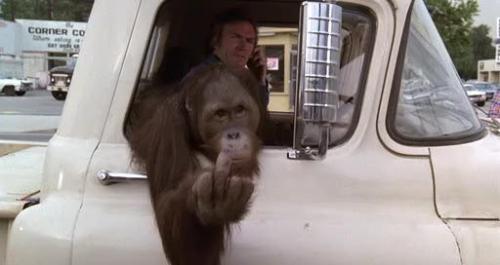 20100215-rightturnclyde