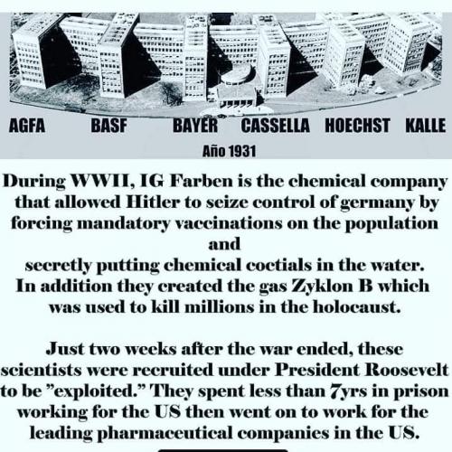 FB_IMG_1545231268721