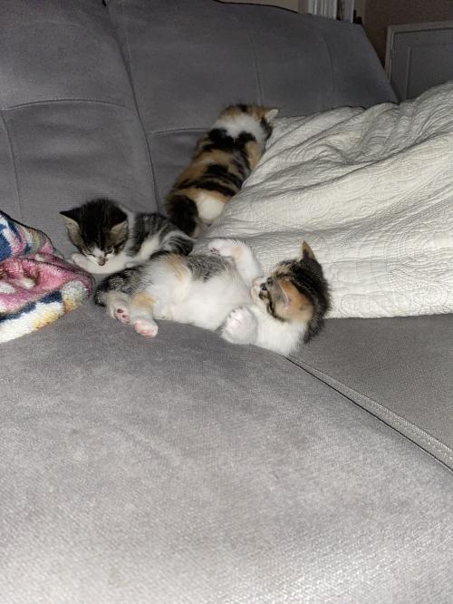 22:39:39 GMT-0400 (EDT)