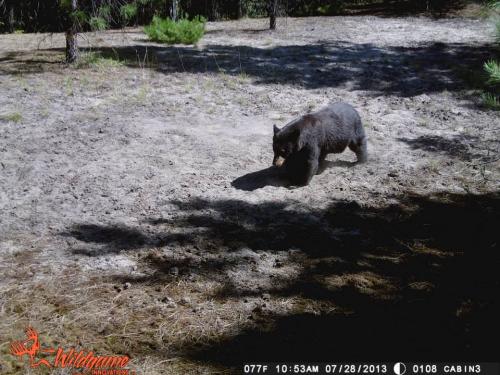 579636_10201794157074223_1411549891_n_10201794157074223