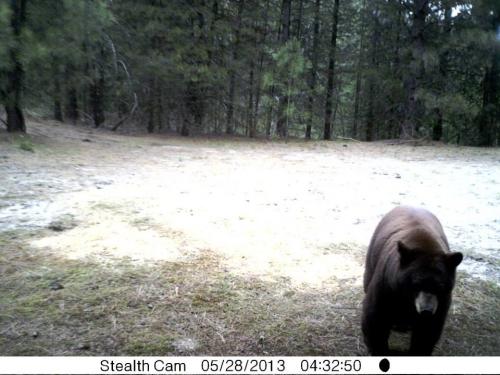 971317_10201513526618637_1516457759_n_10201513526618637