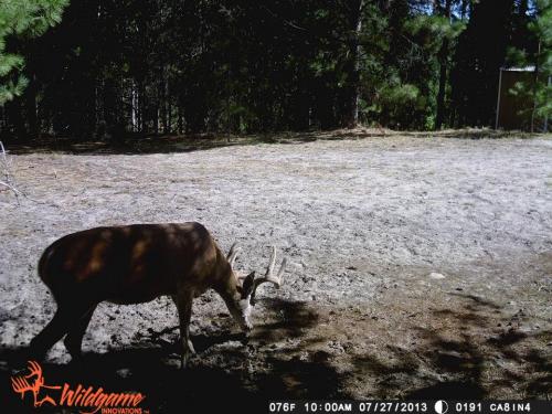 1186310_10201794160074298_2070746812_n_10201794160074298