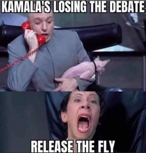 Release The Fly