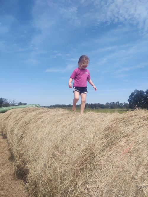 IMG_20201005_124955430